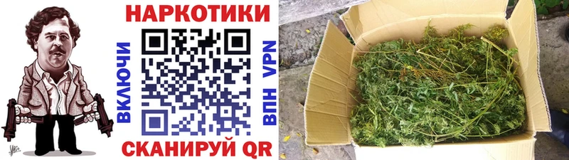Купить закладку Тимашёвск Канабис  Псилоцибиновые грибы  ГАШ  МЕФ  Лсд 25  Cocaine 